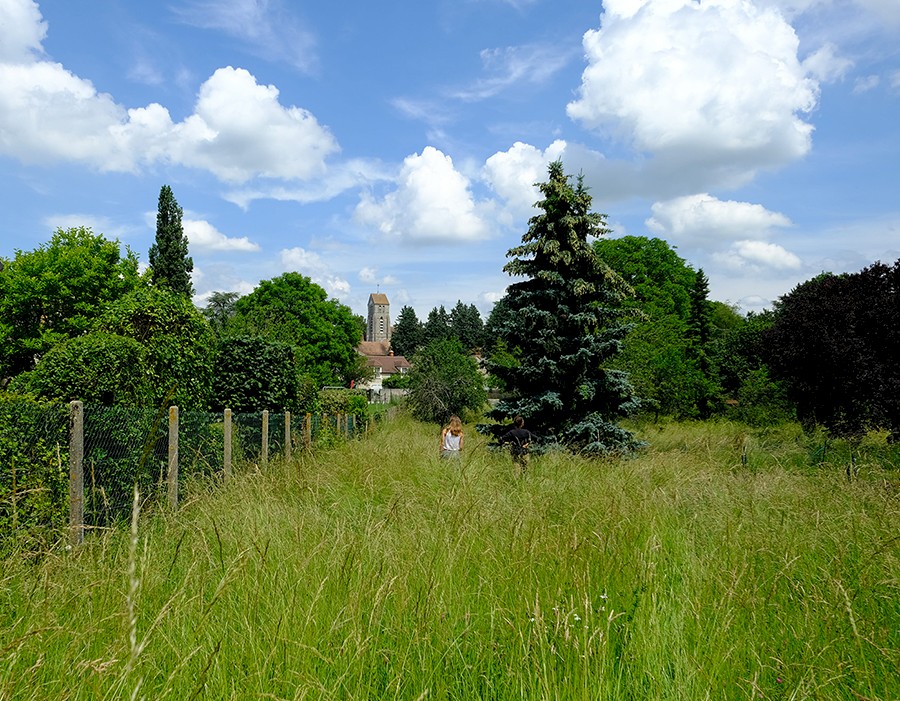 Agro habitat participatif à Soisy-sur-Ecole